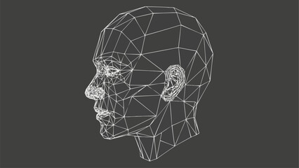 Wireframe Head - A Low-Poly 3D Model Visualization.