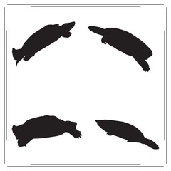 sea turtle  silhouette, sea turtle illustration , sea turtle clipart, sea turtle  vector , sea turtle  icon , black sea turtle, sea turtle  illustration on white background, 			