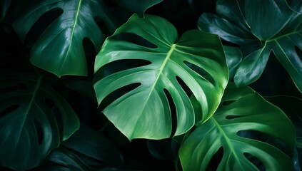 Fresh Yellow Bananas Arranged on a Light Background Ready for Healthy Snacks and Smoothies