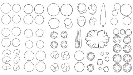 Collection of Tree Plan Symbols and Graphics for Landscape Design, Architectural Drawings and Site Plans, Vector Illustration