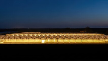 Fototapeta premium Illuminated greenhouse at night with starry sky in rural landscape