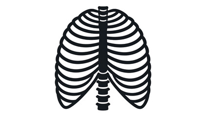 Human rib cages isolated on a clean background, showcasing anatomy and skeletal structure, ideal for medical, educational, or scientific illustrations.