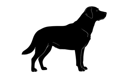 Black labrador retriever dog side view silhouette vector art graphic