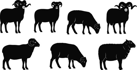 Collection of detailed sheep and ram silhouettes showcasing various poses for livestock farming, agriculture design, animal husbandry graphics and farm animal vector illustration
