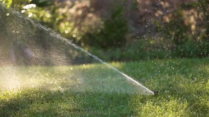 Sprinkler irrigating grass lawn with water in summer garden. Watering green vegetation during dry season for maintaining it fresh.