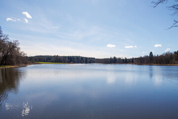 The Schnerzhofener Weiher is a nature reserve near the town of Markt Wald in Bavaria on a sunny day in spring with a blue sky