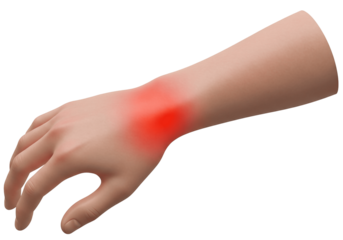 Human Hand with Red Highlight on Wrist Symbolizing Pain or Arthritis PNG