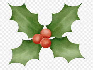 Watercolor holly leaves and red berries festive Christmas winter decoration. Vector.