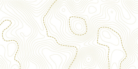 Topographic map background. Geographic line map with elevation assignments. Contour background geographic grid. 