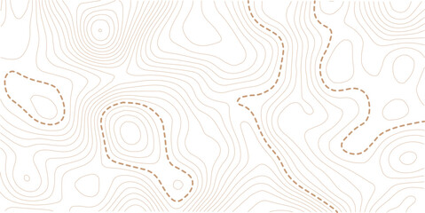 Topographic map background. Geographic line map with elevation assignments. Contour background geographic grid. Vector illustration.