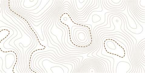 Topographic map background. Geographic line map with elevation assignments. Contour background geographic grid. Vector illustration.