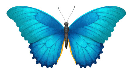 Obraz premium Blue butterfly with vibrant wings, detailed texture, and symmetrical pattern, isolated on transparency background, symbolizing transformation and beauty, evokes sense of calm and wonder