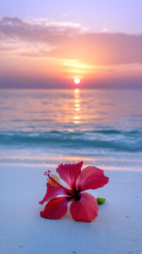 Hibiscus bloom on sandy beach at sunrise creates blissful tropical vibe, perfect for romantic getaways, wellness retreats, or inspiring travel adventures