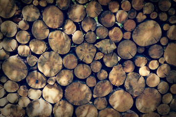 The wall is made of tree cuts (firewood)