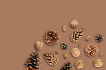 Pinecones and nuts arranged beautifully for Christmas decor