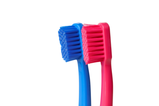 Two vibrant toothbrushes for daily dental care, isolated, PNG