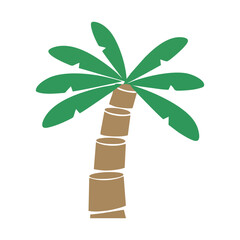 vector palm tree on white