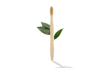Bamboo toothbrush stands next to fresh green leaves, isolated, PNG