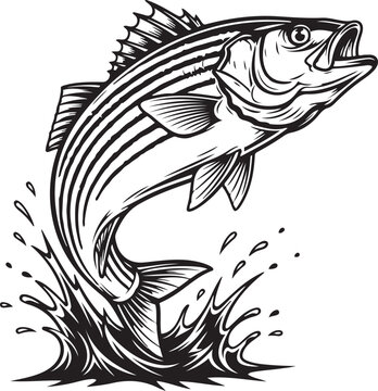 Black and white illustration of a striped bass jumping out of water with splashes