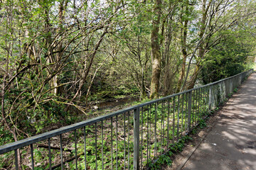 Fototapeta premium Allander Water, from the West Highland Way in Milngavie, East Dunbartonshire, Central Scotland