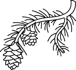 Obraz premium Fir tree branch with pinecones simple black and white botanical line drawing illustration