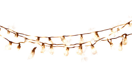 festive string lights isolated on a transparent background, cutout png file