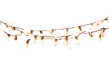 festive string lights isolated on a transparent background, cutout png file