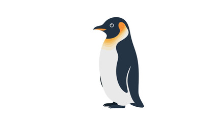 Obraz premium A cartoon emperor penguin stands on a white background
