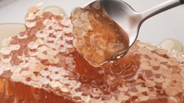 スプーンですくい上げた巣みつから滴るはちみつ
