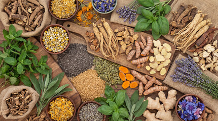 Large assortment of fresh and dried medicinal herbs, roots, and spices on wooden background. Top...