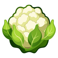 Fresh cauliflower head with vibrant green leaves, a simple clean illustration perfect for healthy eating campaigns, grocery store promotions, or vegetarian recipe blogs, originally a vector graphic