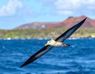 Bird soars, wings outstretched against a seascape of blue ocean, island greenery, and distant red-hued mountain