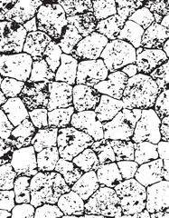 Stone Wall Texture Background Rock Surface Pattern White Stones