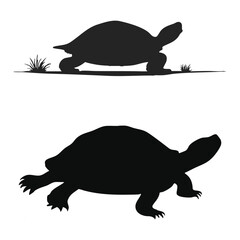Peaceful turtle silhouette crawling slowly on white smooth surface