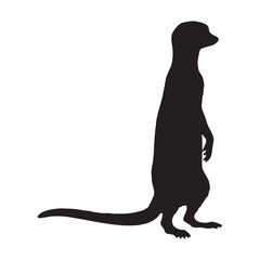Silhouette of curious meerkat standing upright on pure white background