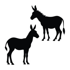 Calm donkey silhouette standing still within clean white background