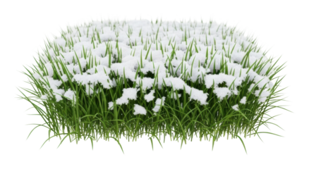 Snow-covered grass landscape winter scene nature aerial view serenity isolated on transparent background