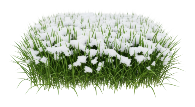 Snow-covered grass landscape winter scene nature aerial view serenity isolated on transparent background