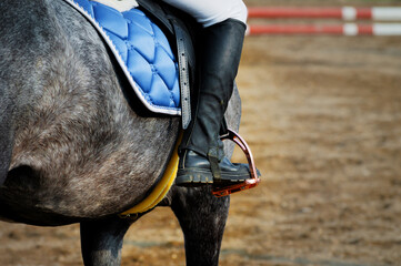 An unrecognizable girl on a horse in a saddle and black leather boots and gauntlets. A jockey on a stallion in white trousers, preparing for a competition