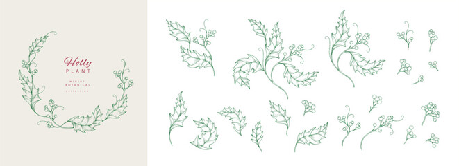 Christmas botanical set with holly plants and berries. New year decorations. Holiday card or invitation with hand drawn floral engraving design