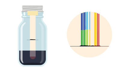 Chromatography experiment in a jar with separated colors