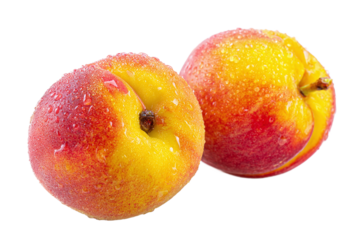 Two ripe nectarines isolated on transparent background with water droplets
