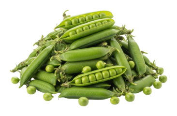 Fresh green peas harvest farm field food natural isolated on transparent background