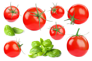 Fresh tomatoes and green basil leaves isolated on white, set
