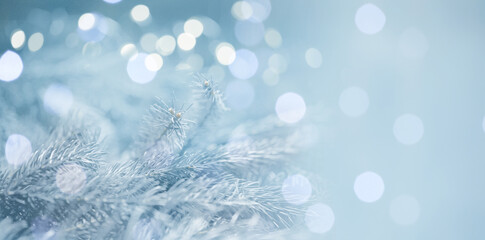 Christmas greeting card with fir tree branches and bokeh lights. Banner design