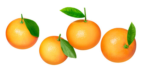 Fresh tangerines with green leaves falling on white background. Citrus fruit
