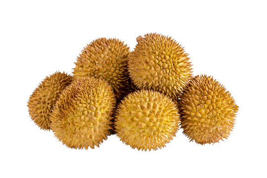 Pile of pulasan fruits isolated on transparent background, southeast asia