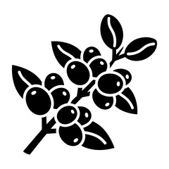 Coffee plant branch vector illustration with beans and leaves