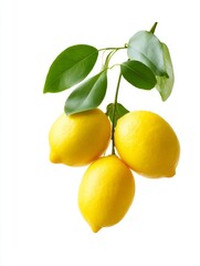 Fresh lemons hanging on a branch. Bright yellow color represents freshness and zest. Perfect for food photography or healthy lifestyle imagery. Capture the essence of nature. AI