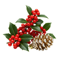 Highly detailed photorealistic still life featuring vibrant red holly berries and a reflective metallic gold pinecone ornament, isolated on a transparent background, luxurious winter holiday concept